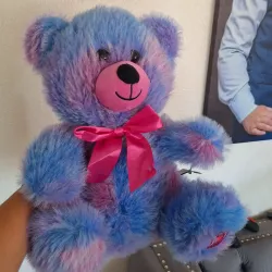 Peluche 🩷🩵🩷🩵