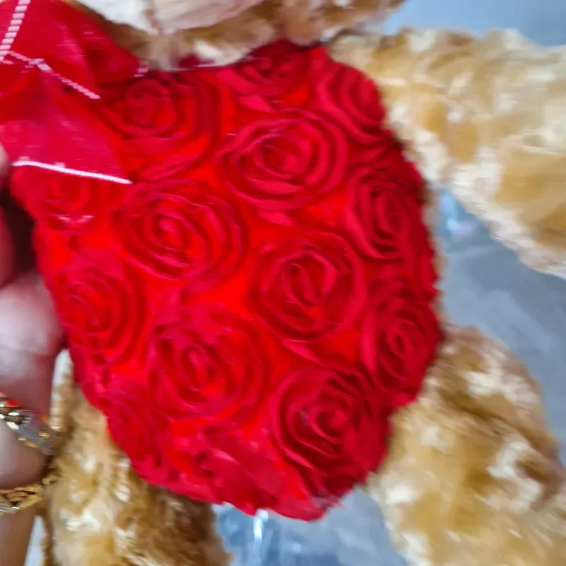 ❤️Peluche ❤️