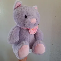 Peluche 💜💜💜💜