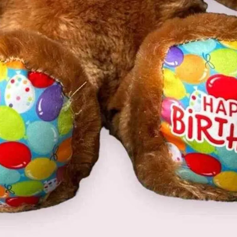 Peluche Happy BirthDay🎊🎈🎉