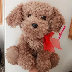 Peluche Perrito