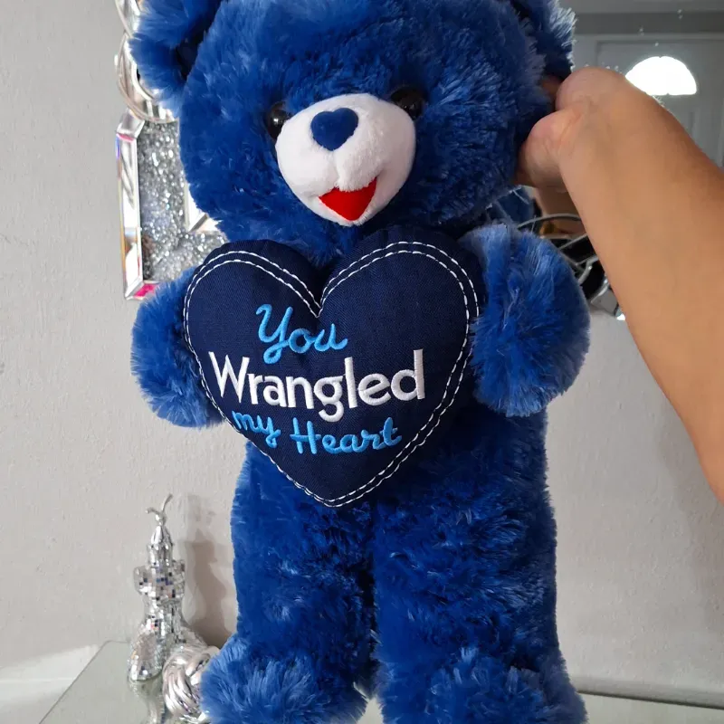 💙💙 Peluche 💙💙