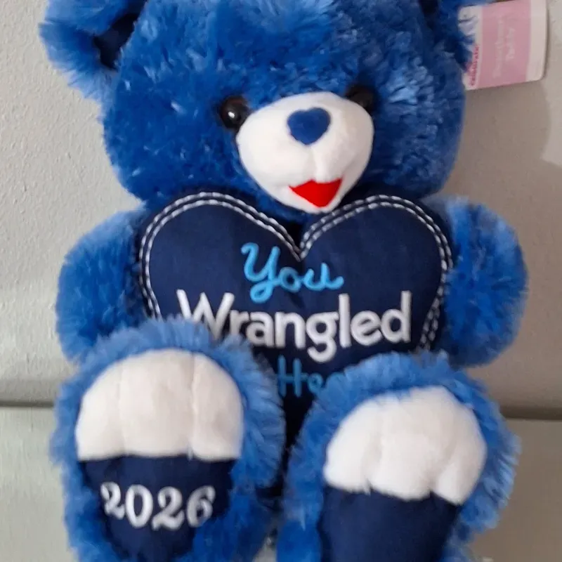 💙💙 Peluche 💙💙