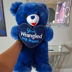 💙💙 Peluche 💙💙
