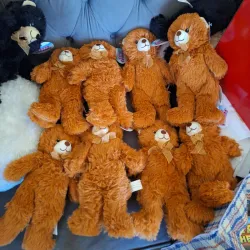 Peluches 🤎🤎