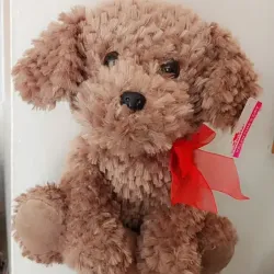 Perrito 🐕 🐩 