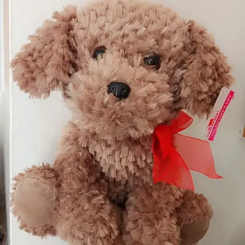 Perrito 🐕 🐩 