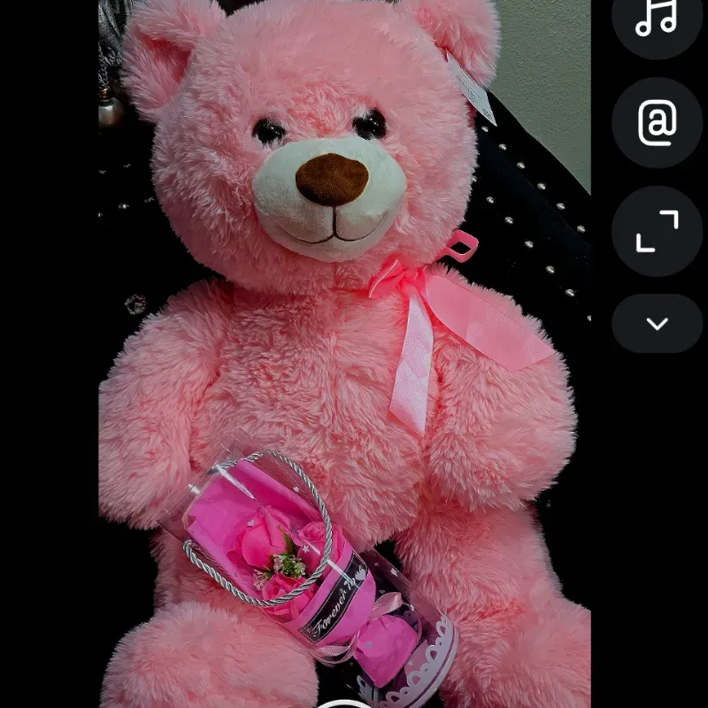 😍Set de Peluche 🧸🩷