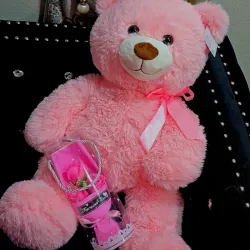 😍Set de Peluche 🧸🩷