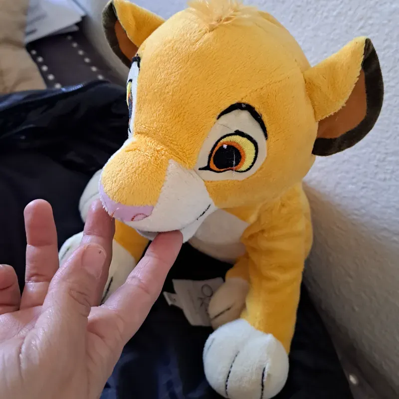 Simba el del Rey leon 