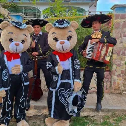 🎵Super promo 2️⃣ Oso 2️⃣ Mariachis 🎵🎺🎵