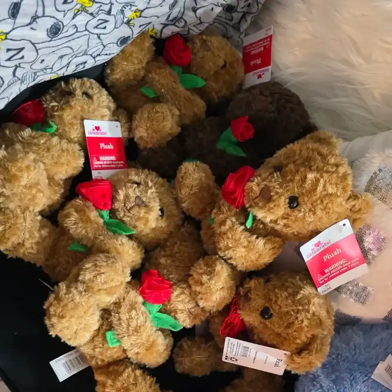 🌹🧸🌹🧸🌹🧸🌹🧸♥️