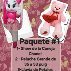 ❤️‍🩹Paquete Sorpresa # 1🌸