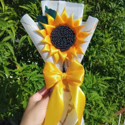 Girasol 🌻