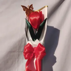 Tulipán🌷