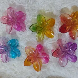 Pellizcos grandes de flor hawaiana