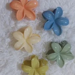 Pellizcos grandes de flor hawaiana