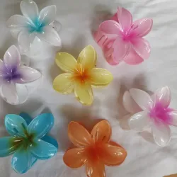 Pellizcos grandes de flor hawaiana