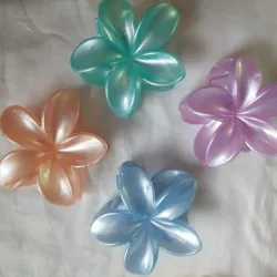 Pellizcos grandes de flor hawaiana