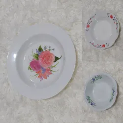 Platos plásticos