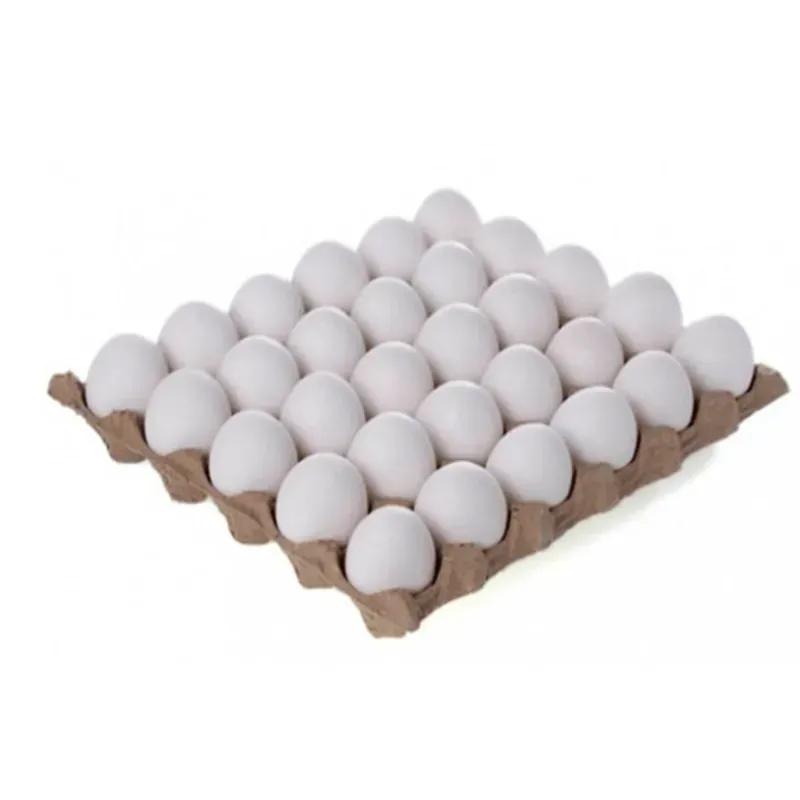 Carton de huevos 