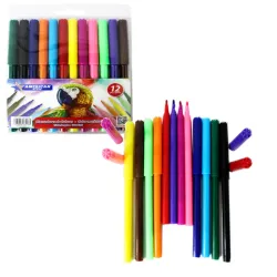 Set de plumones 12 pcs