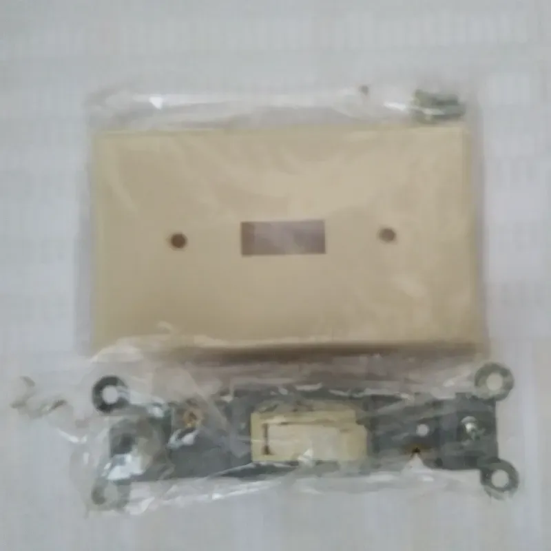 Interruptor Simple