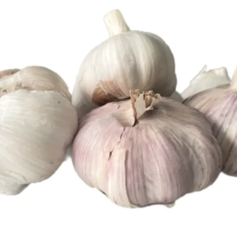 Cabezas de ajo 