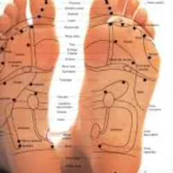 Reflexologia Podal