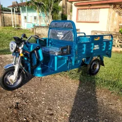 Tricïculo Eléctrico