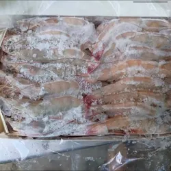 Caja de camarones 1kg