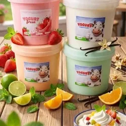 Yogurt 4.5L “Fresko”