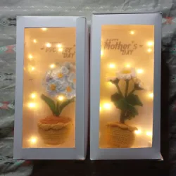 Luz de primavera ✨
