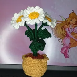 Maceta de Margaritas
