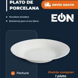 Plato de porcelana