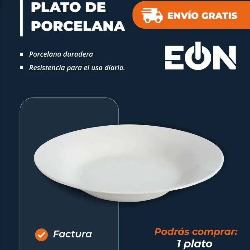 Plato de porcelana