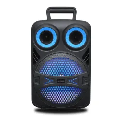 Bocina Premier 2x8" c/control remoto, mic