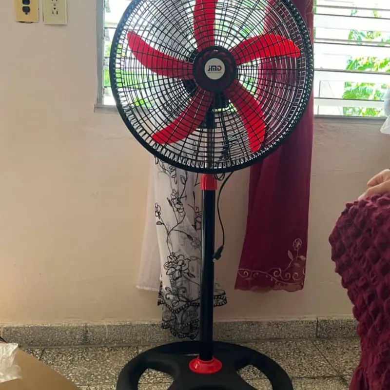 Ciclones 