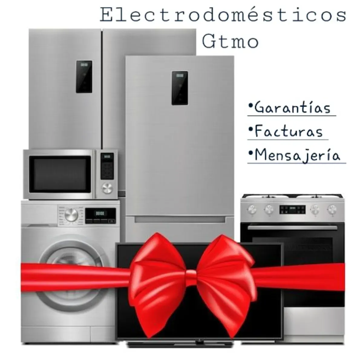 ELECTRODOMÉSTICOS GTMO (MIPYME)