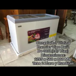 Exhibidora Horizontal Premier 10.7 pies