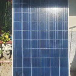 Panel Solar ERJIN 305W
