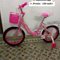 Bicicleta #16 