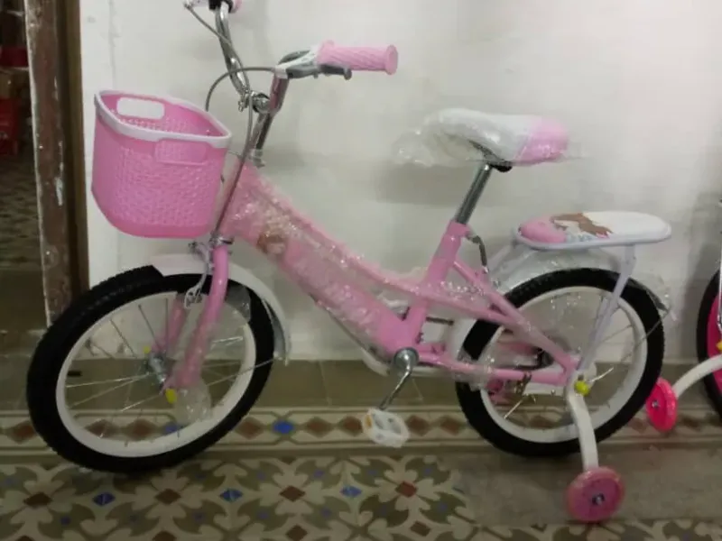 Bicicletas niñ@s y adultos 