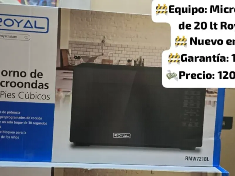 Microwave y freidora a vapor 