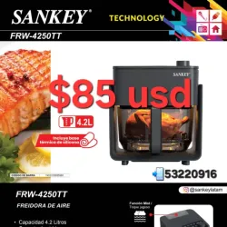 Freidora de aire 4.2L Sankey 