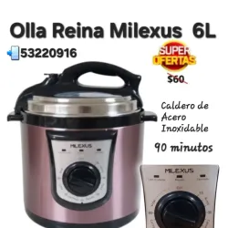 OLLA REINA MILEXUS ANALOGICA 6L
