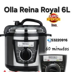 Olla Reina Royal Analógica 6L 