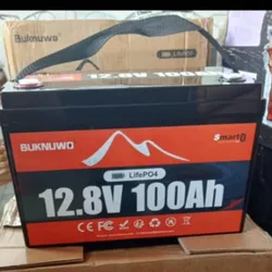 🔋🔋🔋Batería LifeP04 12.8v x 100Ah 1280Wh