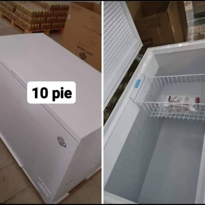 EKO (10 PIES)