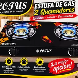 Fogon de gas de vitroceramica 2Q con magneto